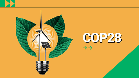 IMO at COP 28